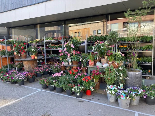 vooraanzicht winkel 1